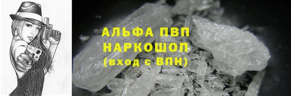 молекула духа Михайлов