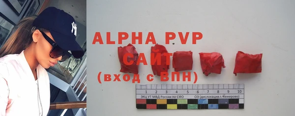 молекула духа Михайлов