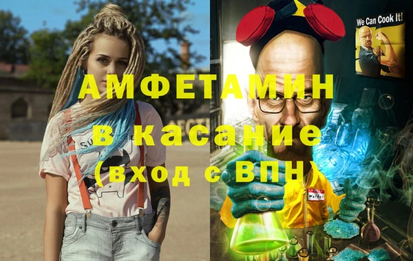 молекула духа Михайлов