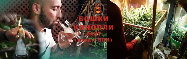 молекула духа Михайлов