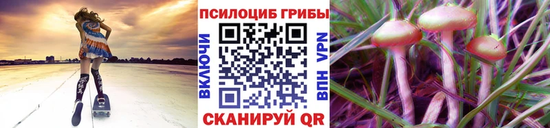 Галлюциногенные грибы MAGIC MUSHROOMS  магазин    Шали 