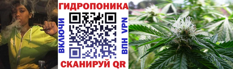 Марихуана гибрид  Шали 